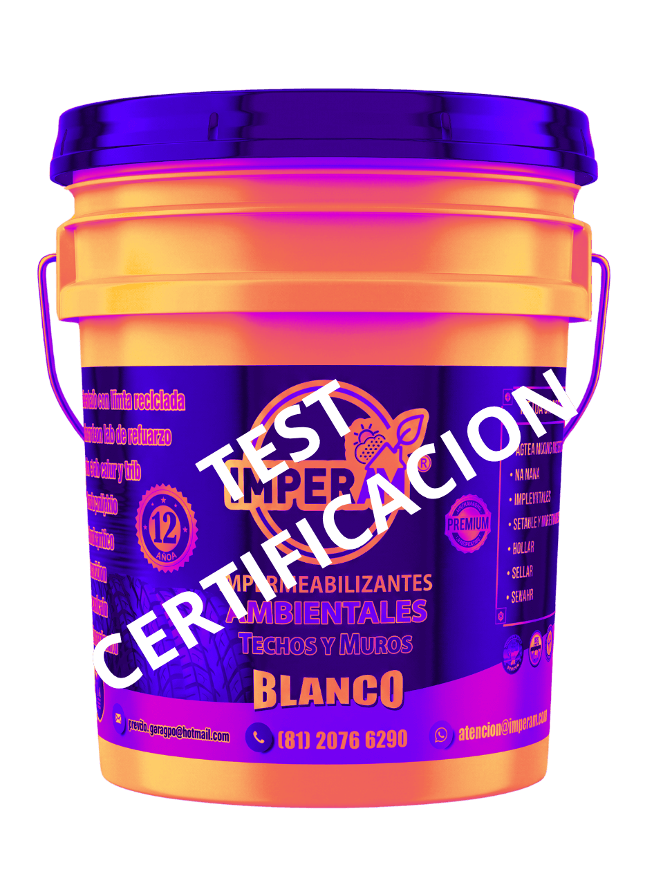 Test Certificación MP - 2